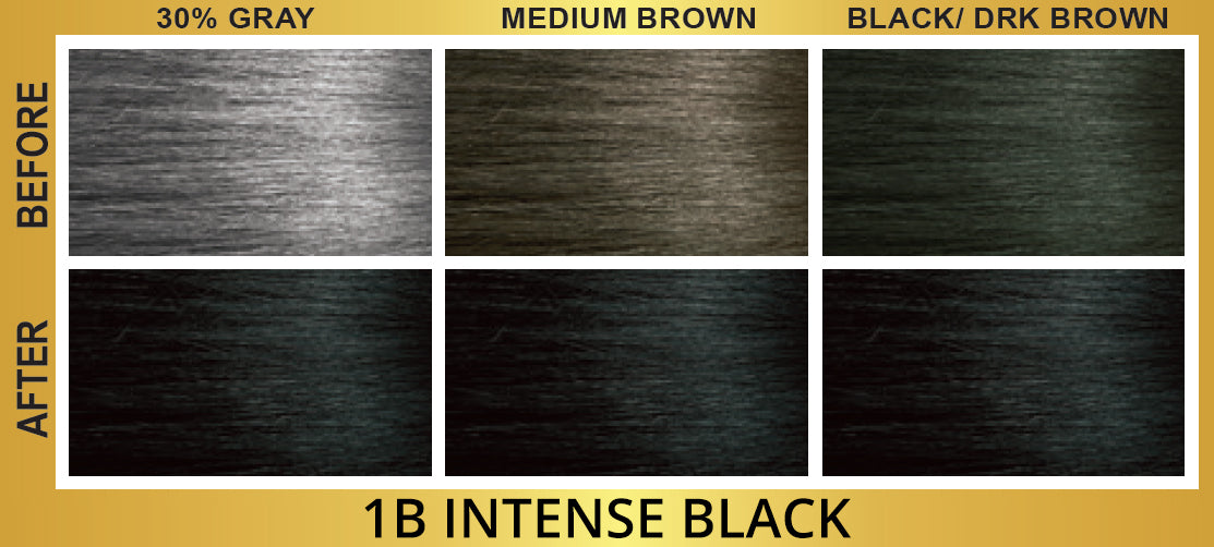 BIGEN EZ COLOR WOMEN 1B [INTENSE BLK]