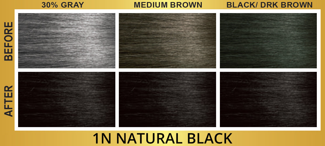 BIGEN EZ COLOR WOMEN 1N [NATURAL BLK]