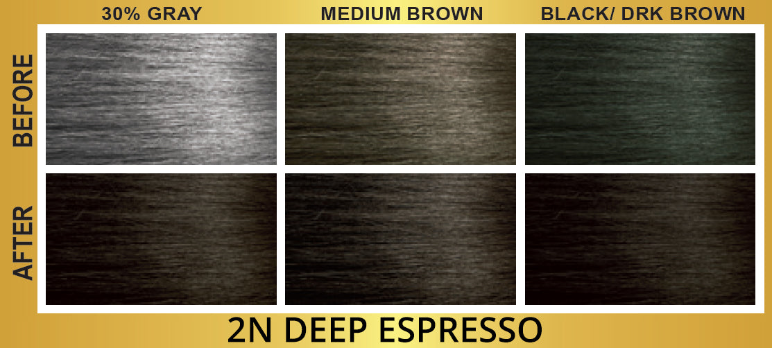 BIGEN EZ COLOR WOMEN 2N [DEEP ESPRESSO]